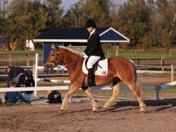 IMG_7602_web